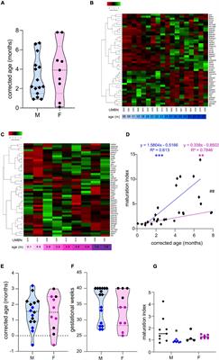 Preterm Birth Alters the Maturation of the GABAergic System in the Human Prefrontal Cortex